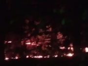 Taman Wisata Alam Punti Kayu Terbakar