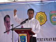 Mentan Optimalkan Lahan Rawa di OKI Untuk Dongkrak Produksi Padi Nasional