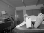 Pria Bercelana Loreng Diduga Tewas di “Cafe Amel”