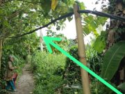 Kabel PLN Menjuntai, Warga Tiga Desa di OI Ini Takut Kena Setrum