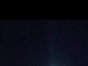 Petambak Udang di OKI Tewas Diterkam Buaya