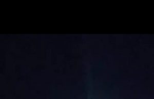 Petambak Udang di OKI Tewas Diterkam Buaya