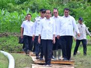 Presiden Jokowi Bersama Menteri Pertanian Optimis Produksi Beras Nasional Meningkat