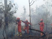 Tim Manggala Agni Masih Berjibaku Padamkan Api di Lempuing Jaya OKI