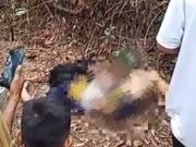 Polisi Dikabarkan Berhasil Tangkap 4 Orang Terduga Pelaku Pembunuh Pelajar Putri di Pemakaman Talang Kerikil