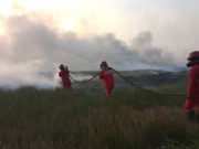 Puncak Kemarau Agustus dan September 2024, Karhutla di OKI Semakin Meningkat