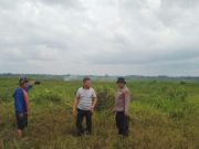Kapolsek SP Padang Pimpin Pemadaman Kebakaran Lahan Pertanian di Desa Tanjung Alai