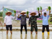Topang Swasembada Pangan, Kementan Targetkan Cetak 125 Ribu Hektare Sawah Baru di OKI