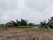 Masuk Musim Hujan, Petani Pematang Kroya Mulai Benahi Lahan Pertanian