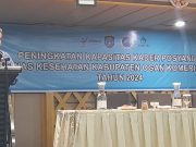 Dinas Kesehatan OKI Gelar Pelatihan Peningkatan Kapasitas Kader Posyandu