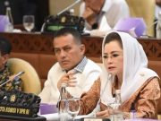 Gerindra sebut Ada Peran PDIP soal Kenaikan PPN 12 persen