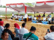 Naik 3 Besar Penghasil Pangan Nasional, M Farid : Banyuasin Terus Optimalisasi Lahan
