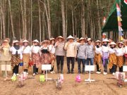 Penanaman Jagung Serentak di OKI Dukung Ketahanan Pangan Nasional