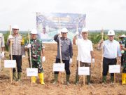 Dukung Swasembada Pangan Presiden Prabowo, Lahan PSR di OKI Ditanami Padi Gogo