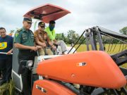 Kerja Sama TNI dan Petani Sukseskan Panen Raya Padi di Ogan Ilir