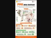 Wabah PMK Kembali Melonjak, Ini Himbauan Kadisbunak OKI