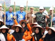 Tingkatkan Ketahanan Pangan, Dandim 0402/OKI Hadiri Kegiatan Tanam Padi Gogo