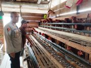 Polsek Tulung Selapan Kawal Program Ketahanan Pangan Nasional