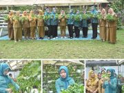 Pj. Ketua TP PKK Kabupaten Banyuasin Optimalkan Hasil Panen Sayur Hidroponik di Kebun PKK