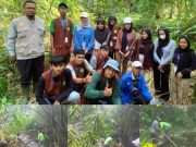 Gapoktan Sri Mulya II dan Pemdes Batu Ampar Gotong Royong Bersihkan Aliran Sungai