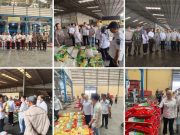 Pastikan Stok Aman, Netta Indian Tinjau Ketersediaan Beras