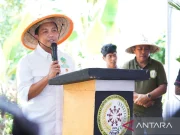 Menhut: Ada Potensi 7 juta ha Lahan Untuk dijadikan Perhutanan Sosial
