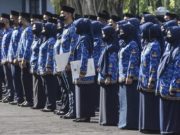 Update Resmi: CPNS Diangkat Paling Lambat Juni, PPPK Oktober 2025