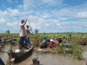 Tripika Tinjau Lokasi Perburuan Harta Karun di Aur Duri Desa Batu Ampar Baru Kecamatan SP Padang
