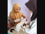 Antisipasi Penularan Virus Rabies, Disbunnak Gelar Vaksinasi Rabies Massal Gratis