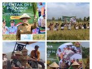 Bersama Presiden Prabowo, Wakil Bupati Lakukan Panen Raya Serentak