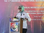 Kementerian ESDM Ingin Jadikan Flores Sebagai Pulau Panas Bumi