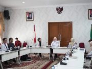 Wabup Netta Terima Audiensi Direktur RS Hermina Opi Jakabaring