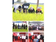 Bupati Banyuasin Apresiasi Bank Sumsel Babel atas Penyaluran KUR untuk Petani Muara Padang