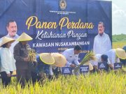 Menteri IMIPAS Panen Perdana Ketahanan Pangan di Nusakambangan