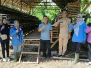 Kolaborasi dan Dukungan Terhadap Ketahanan Pangan, Disbunnak OKI Lakukan Pelayanan Kesehatan Hewan di Desa