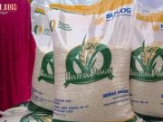 Bantuan Beras 10 Kg Juli 2025 Resmi Disalurkan, Ini Cara Ceknya