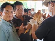 Perkuat Ekonomi dan Pangan, Pemdes Alter Budidaya Ternak 400 Ekor Ayam Petelur