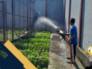 Implementasikan 13 Program Akselerasi Menkumham, Lapas Kayuagung Gelar Kegiatan Ketahanan Pangan