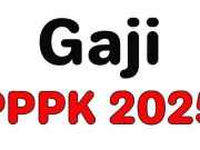 Segini Gaji PPPK Paruh Waktu 2025 Lulusan SMA dan S1 serta Rentang Waktu Kerjanya