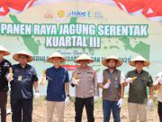 Polres OKI Gelar Panen Raya Jagung Serentak Kuartal III di Kecamatan Lempuing