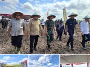 Terus Perkuat Ketahanan Pangan, Pemkab Banyuasin dan Pangdam II/Sriwijaya Tanam Padi Gogo