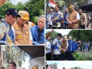 Menteri Pertanian RI Panen Padi IP 100 di Desa Merah Mata Banyuasin