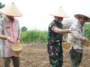 TNI Turun ke Sawah! Kodim 0402/OKI-OI Tanam Padi Perdana Program Cetak Sawah di Benawa