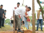 Penanaman 300 Pohon Tabebuya Warnai Peringatan HUT ke-80 Kabupaten OKI
