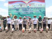 Penanaman Jagung Serentak di OKI, Polda Sumsel Perkuat Ketahanan Pangan Kuartal IV