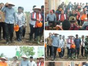 Bupati Askolani Optimistis Banyuasin Jadi Nomor Satu Lumbung Pangan Nasional