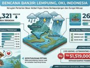 Banjir Rendam Ribuan Hektare Lahan Padi di Lempuing, Petani Terancam Gagal Panen