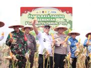 Sinergi Polres OKI dan Pemda Warnai Panen Raya Jagung Serentak