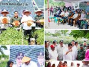 Bupati Banyuasin Bersama Forkopimda Panen Raya 4 Ton Cabai di Kawasan Kompi Produksi