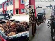 Satreskrim Polres Banyuasin Ungkap Kasus Pencurian Buah Sawit Milik PT Sawit Mas Sejahtera